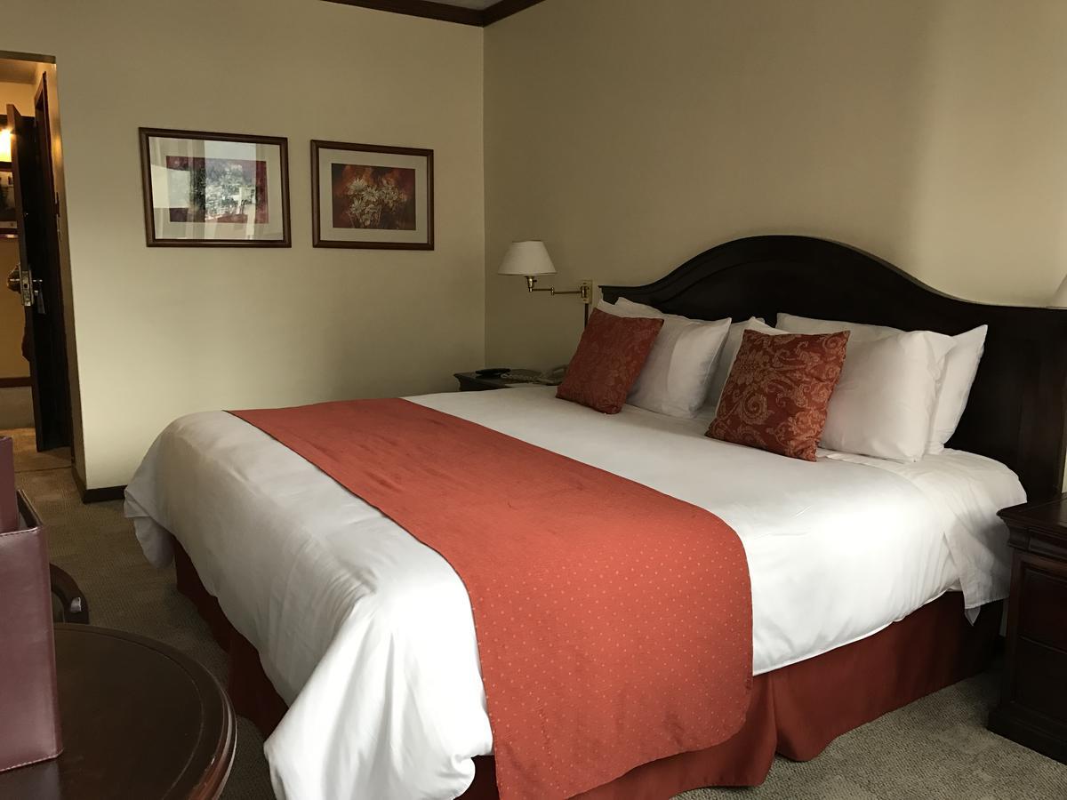 Socialtel Quito Hotel Bagian luar foto