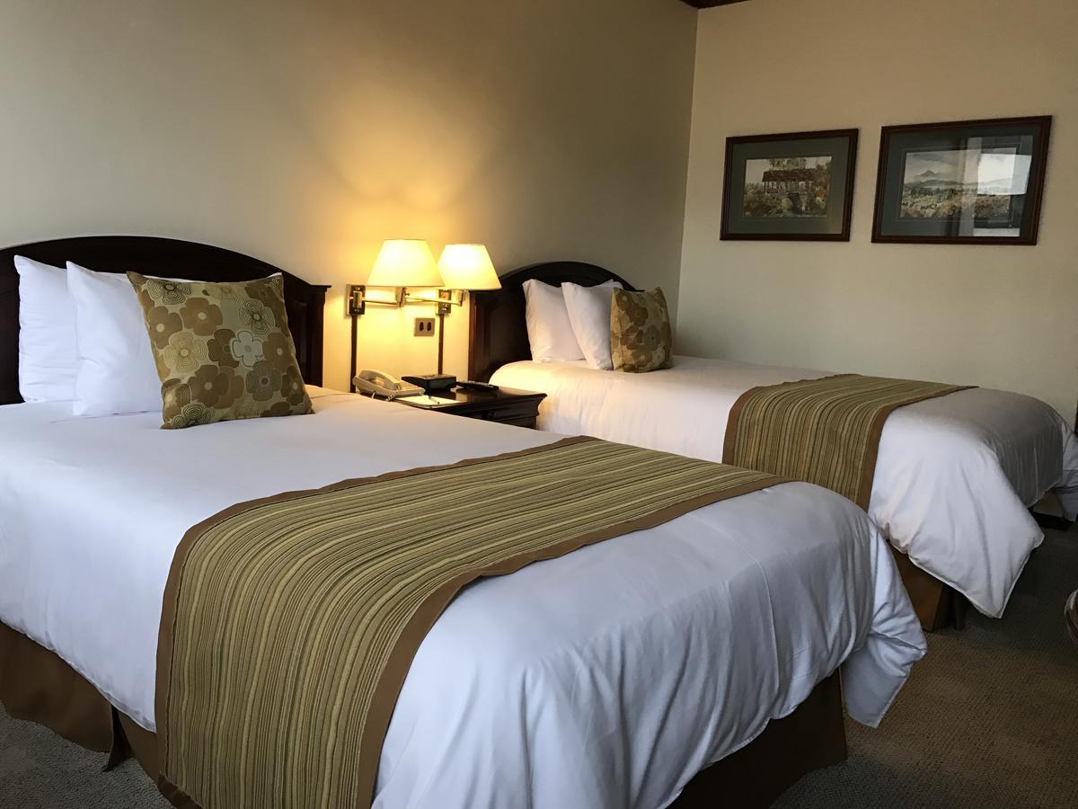 Socialtel Quito Hotel Bagian luar foto